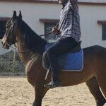 KHELNEWZ RAIPUR DESK वेटलिफ्टिंग अस्मिता खेलो इंडिया लीग में हासिल किया उपविजेता का खिताब